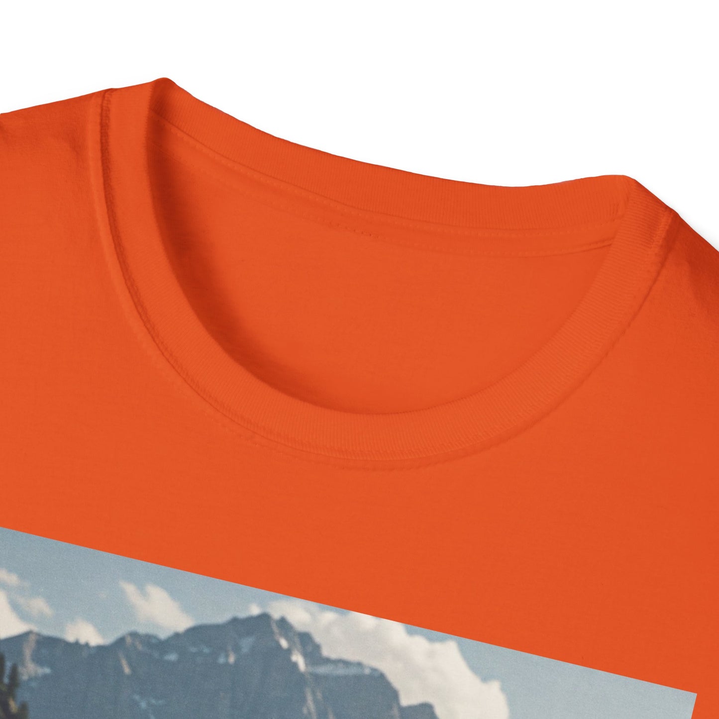 Unisex Softstyle T-Shirt