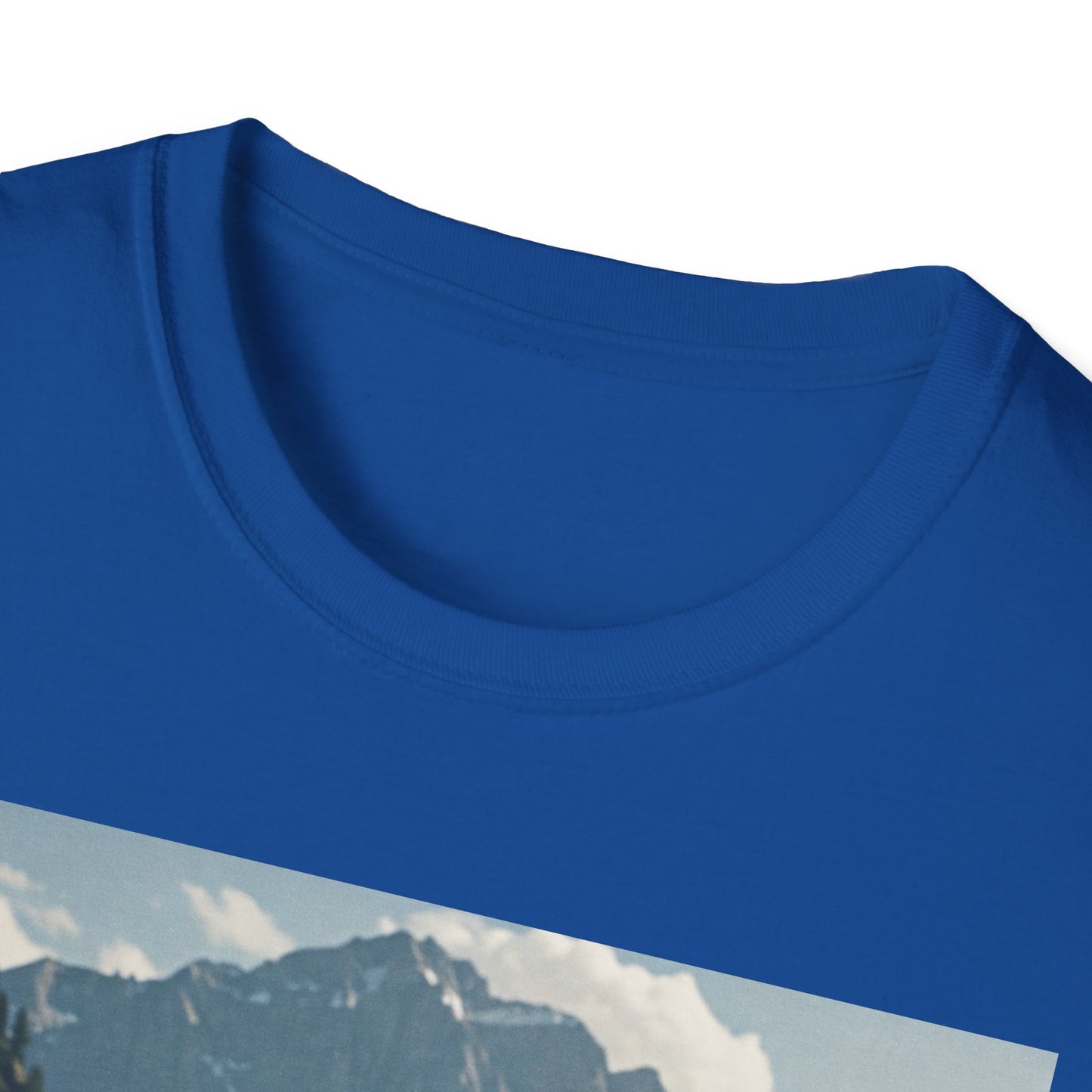 Unisex Softstyle T-Shirt
