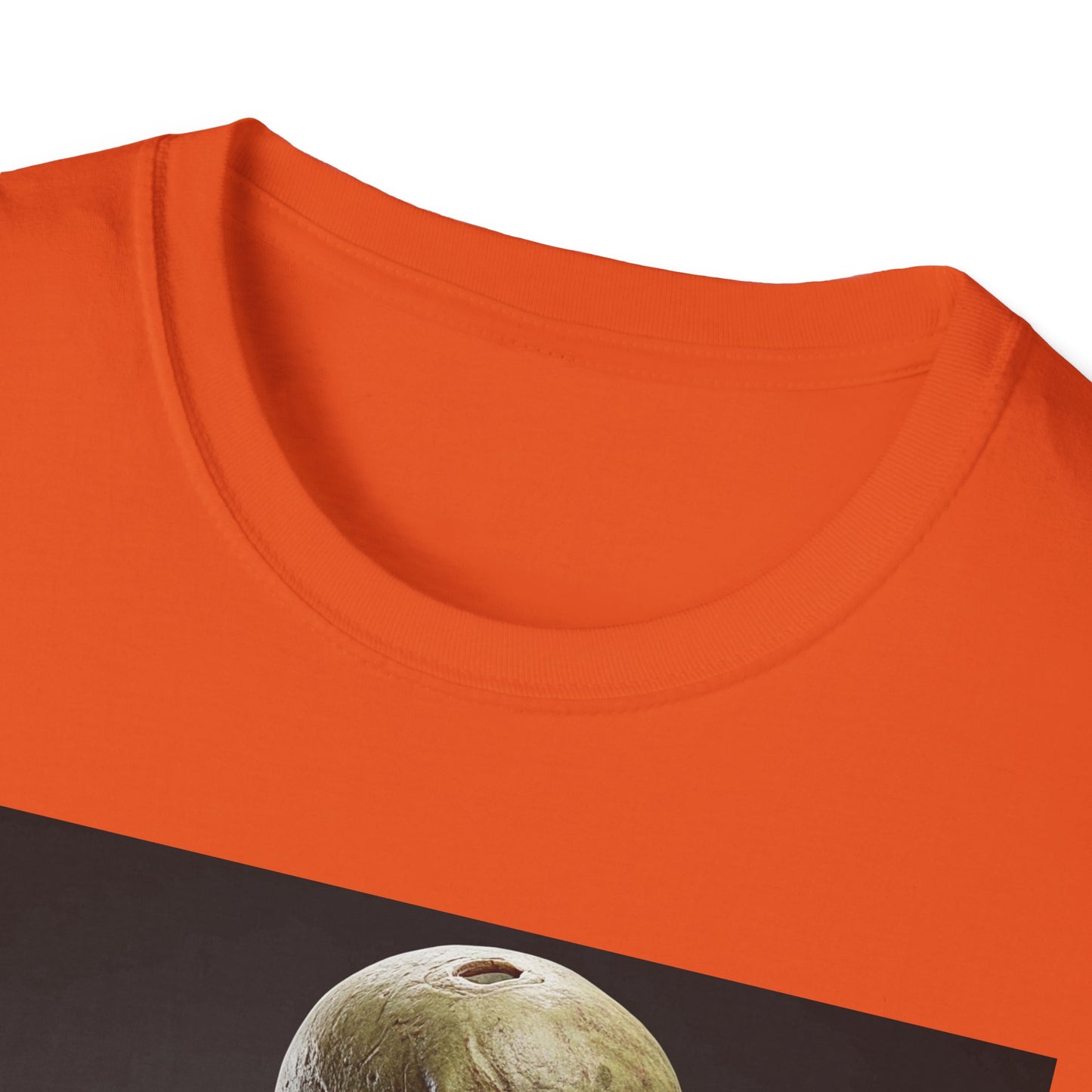 Zombie Graphic Unisex Softstyle T-Shirt - Perfect for Halloween and Horror Fans